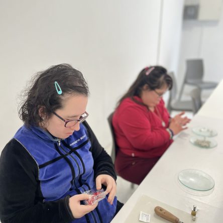 Servei Ocupacional | Pere Claver | Serveis Socials