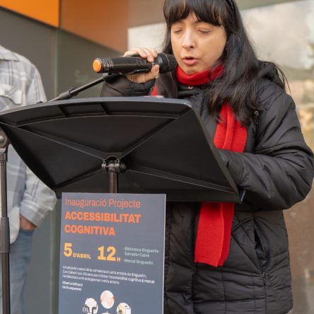 Accessibilitat Servei Ocupacional04